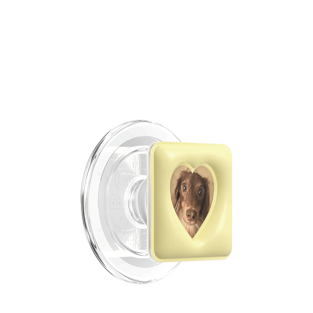 MSPG_Photo-Frame-Yellow_Animation